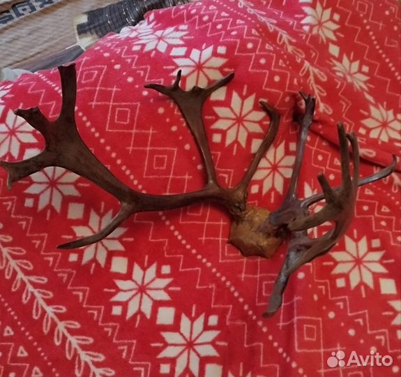 Продам рога оленя, самовар, марки