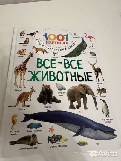 Детские книги clever