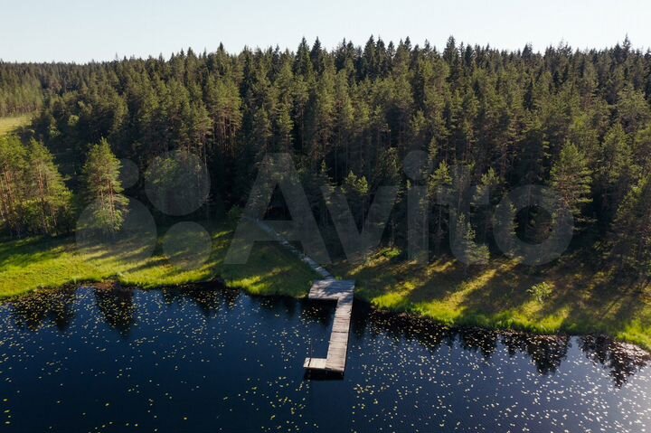 Участок 10 сот. (СНТ, ДНП)