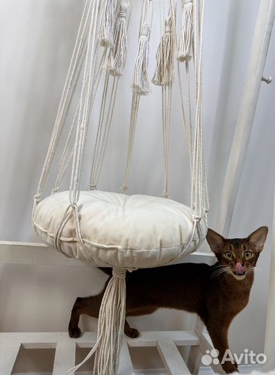 Лежанка для кота из макраме