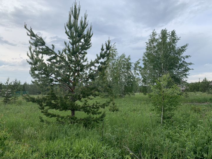 Участок 16 сот. (ИЖС)