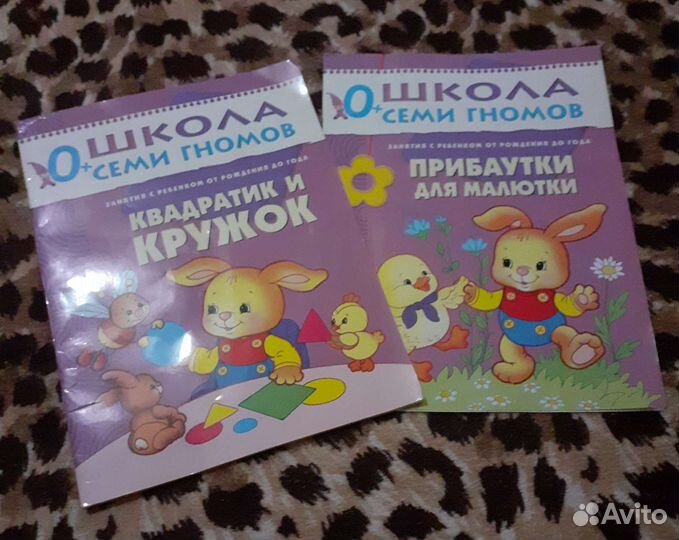 Школа семи гномов 0