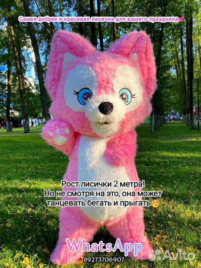 Милашка Лисичка