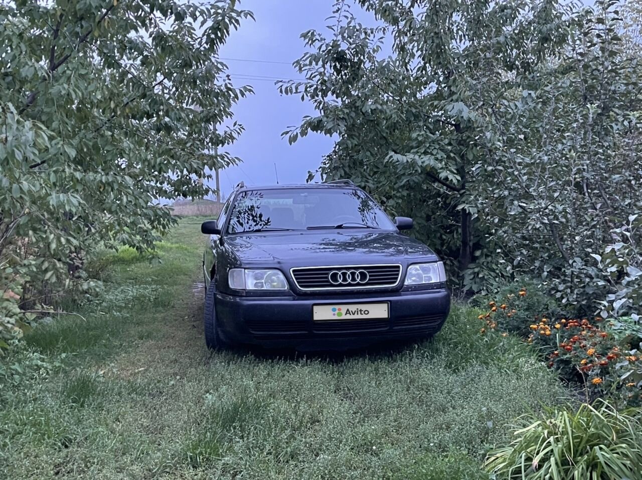 Audi A6: фото владельца