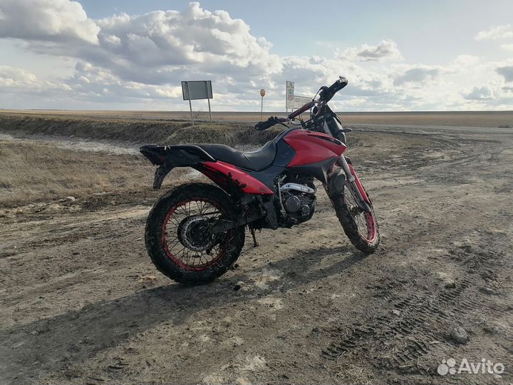 Irbis xr 250r