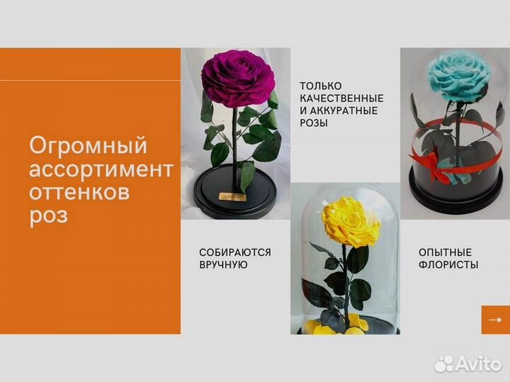 Роза в колбе
