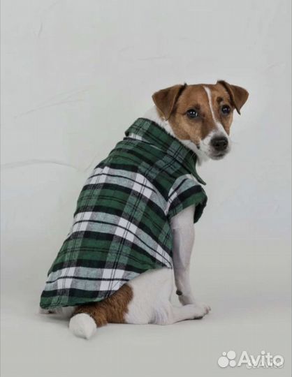 Новая рубашка для собаки, р.S
