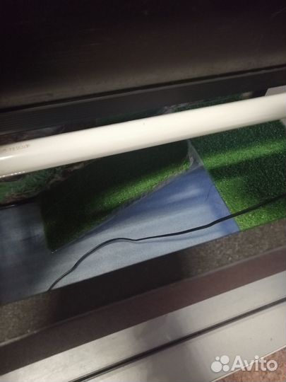 Террариум для черепахи