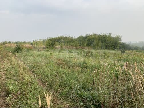 Участок 15 сот. (ИЖС)