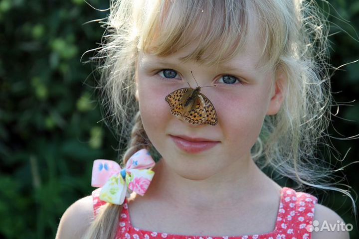 Детская Миниферма Тропических Бабочек ф/б-23