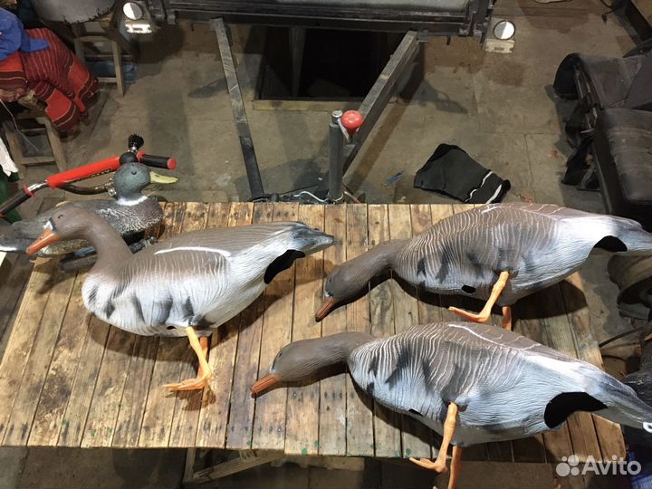 Чучела гусей и уток