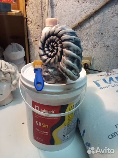 Ракушка наутилус