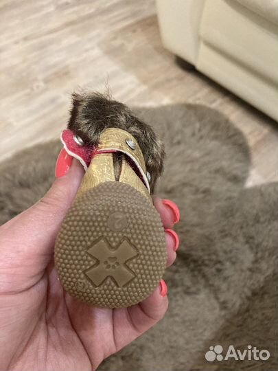 Обувь для собак мелких пород