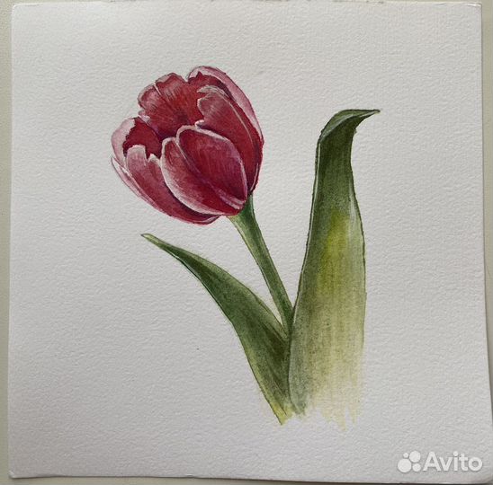 Акварельные рисунки