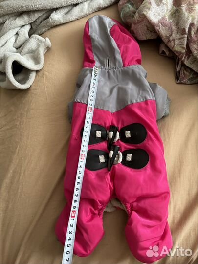 Одежда для маленьких собак пакетом