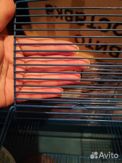 Клетки для мелких грызунов