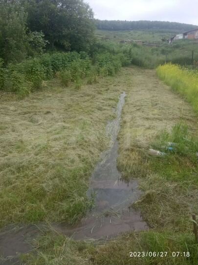Участок 12 сот. (СНТ, ДНП)