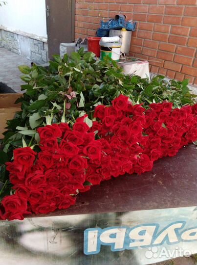 Розы оптом