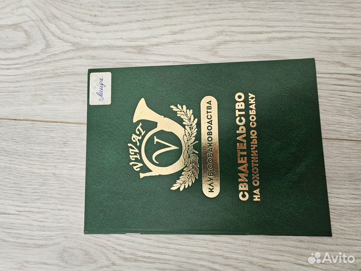 Щенки ягдтерьера
