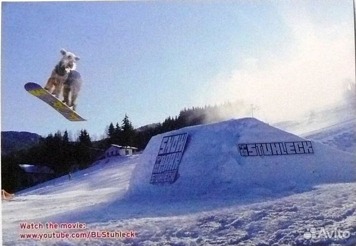 Открытки глянцевые freecard - печатаем, что хотим