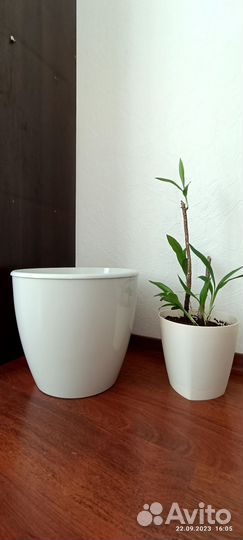 Горшок для цветов