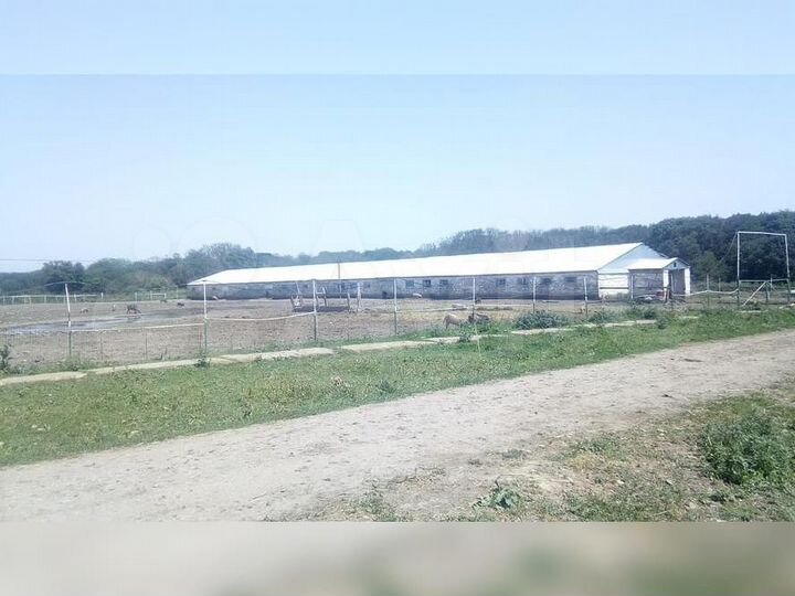 Животноводческая ферма 22 га в с. Грушевское