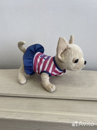 Собачка в сумочке Chi chi love