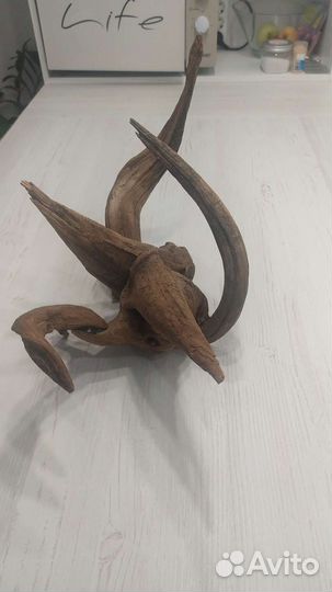 Коряги для аквариума