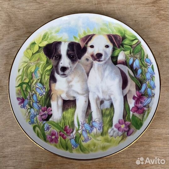 Тарелка настенная собачки лошади тройка Дед Мороз