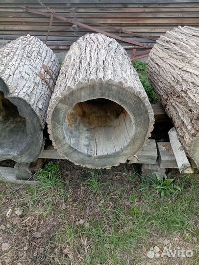 Колода для пчел