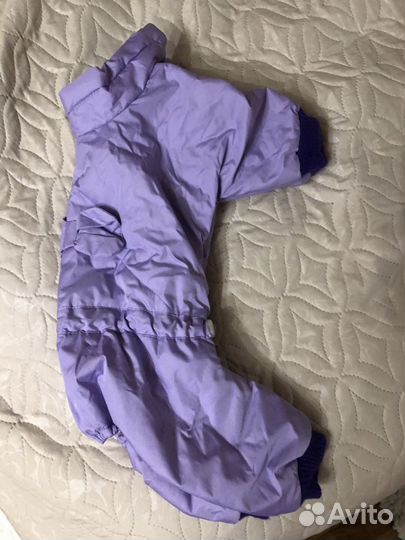 Одежда для собак мелких пород