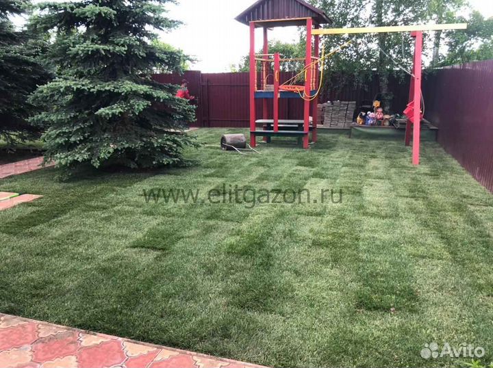 Укладка газона