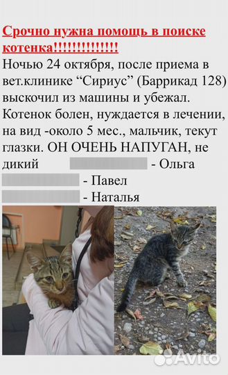 Котик нуждается в помощи