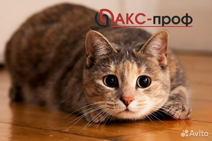 Упаковщица/Маркировщица зоотоваров