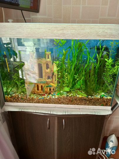 Аквариум