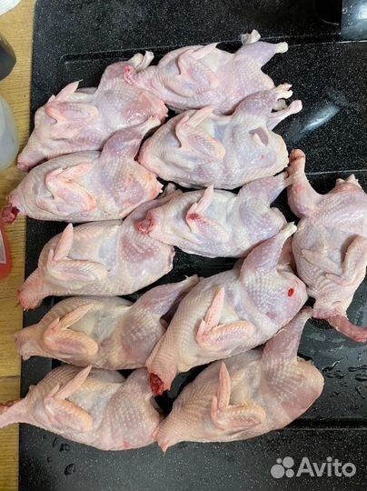 Мясо перепелов