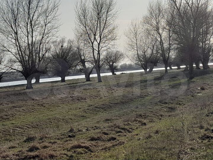 Участок 1,3 га (СНТ, ДНП)