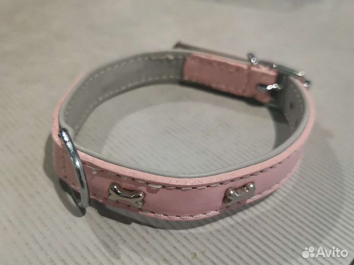 Ошейник для собак