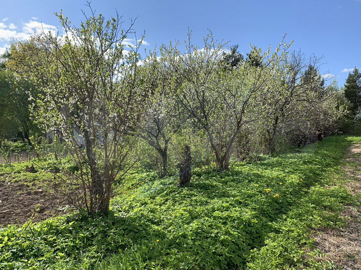 Участок 12 сот. (ИЖС)