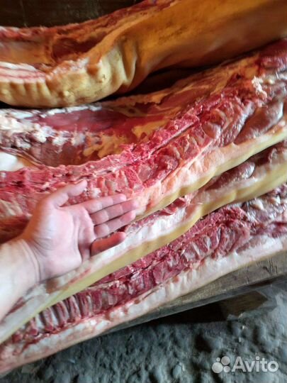 Мясо свинины в полутушах