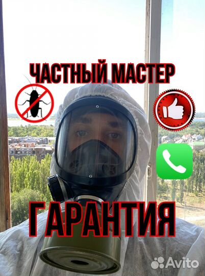 Уничтожение тараканов, клопов, блох