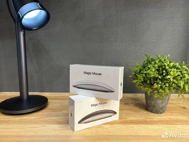 Новая Apple Magic Mouse