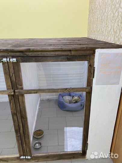 Гостиница для животных