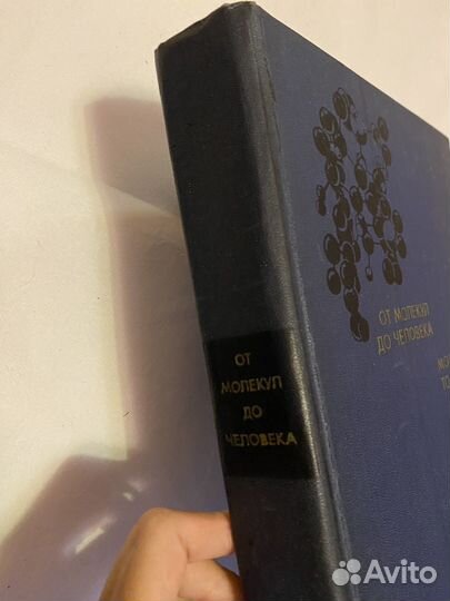 От молекул до человека К.С.Бурдин 1973