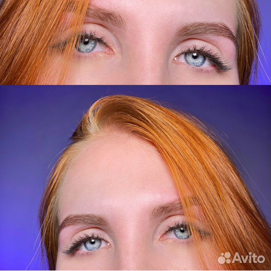 Курсы бровистов