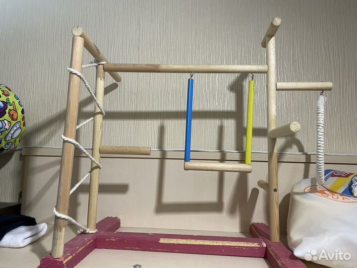 Жордочки для попугая