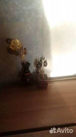 Денежное дерево фэн-шуй