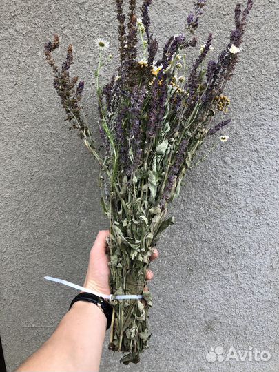 Травы для бани