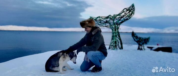 Териберка - Путешествие на край земли