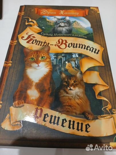 Коты воители, Судьба Небесного племени